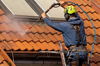 Démoussage et hydrofuge de toiture à Neulliac